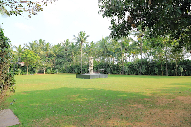26. lawn 1