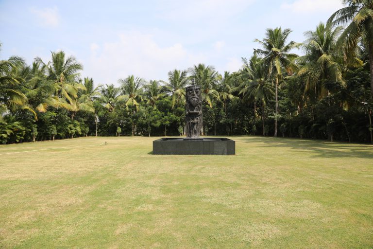 lawn 14
